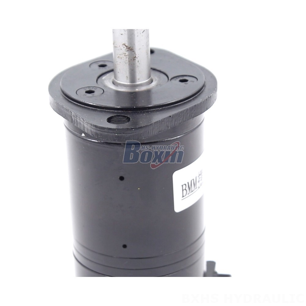 Direct from Manufacturer: BMM Cycloid Hydraulic Motor 8 cc/r 14 Lpm detail image